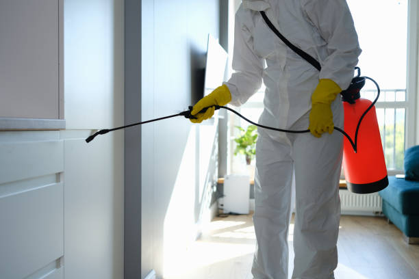 Best Professional Mold Removal  in Ancient Oaks, PA